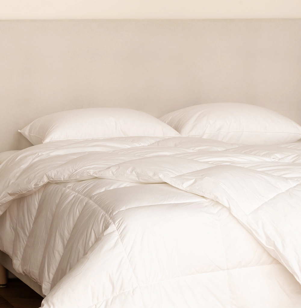 Ensemble Oreillers & Couette en Plumes et Duvet de Canard 2