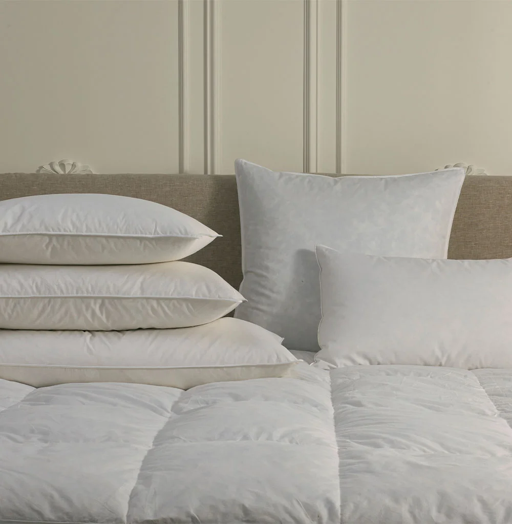Oreiller en Duvet d'Oie