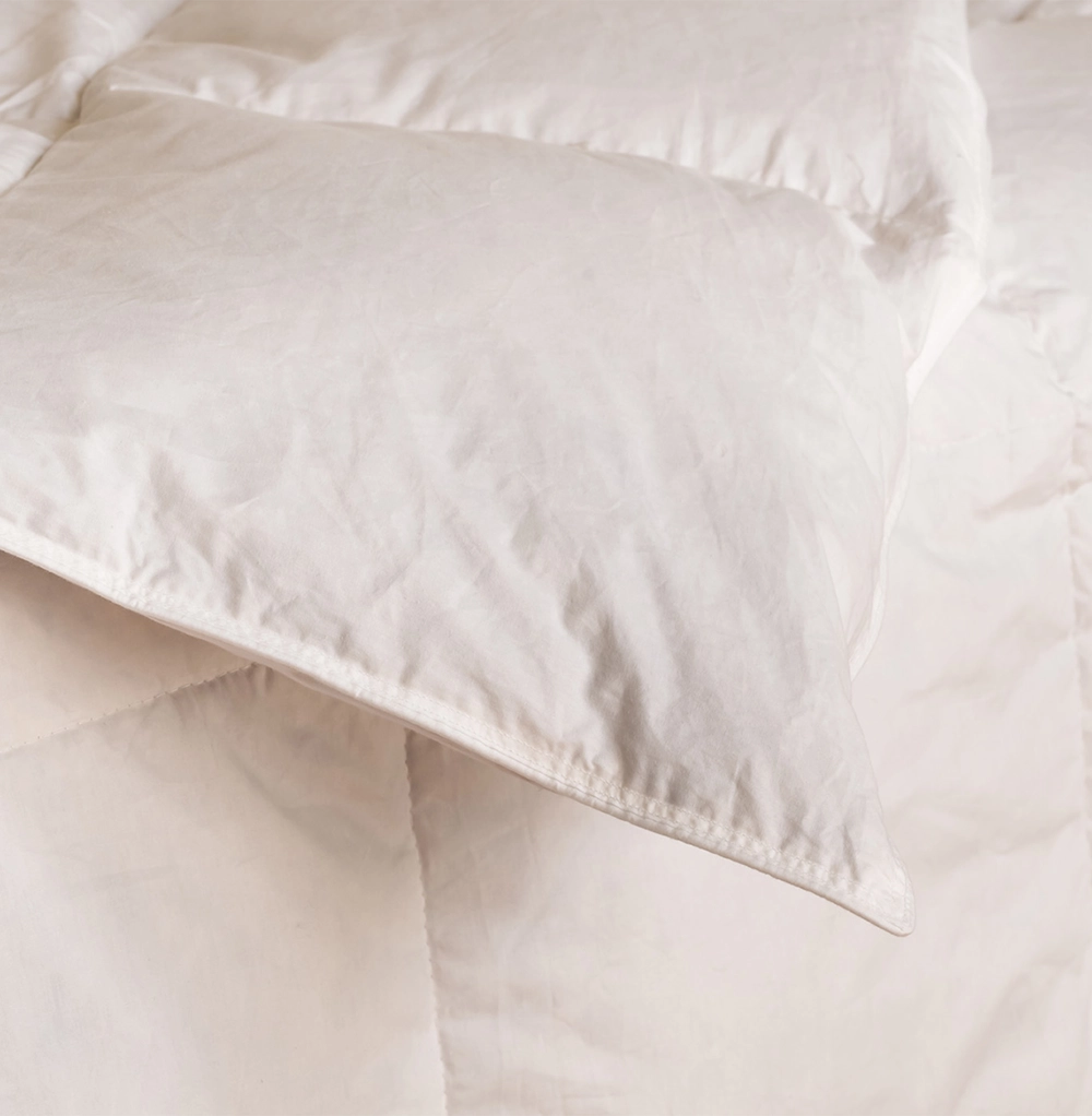 Ensemble Oreillers & Couette en Microfibre 3
